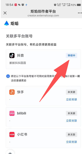 审核中
